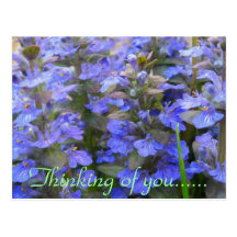 QUIET PLACE POST CARD