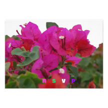 Quinceanera RSVP Bougainvillea Personalized Invite