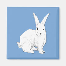 Rabbit blue Magnet