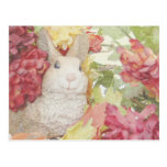 Rabbit Fall Flowers Postcards