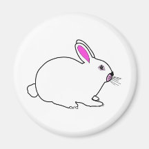 Rabbit Magnets