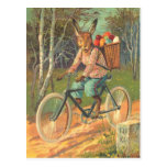 Rabbit on his bicycle delivering eggs ! postcards