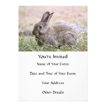 Rabbit Picture Custom Invitation