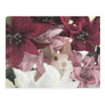 Rabbit Poinsettia Flower Post Card