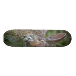 Rabbit Skate Deck
