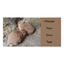 Rabbits Photo Cards