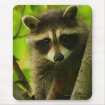 Racoon Mousepad