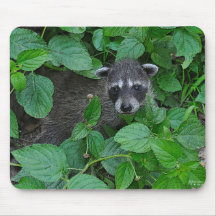 Racoon Mousepad - I