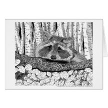 Racoon Pen and Ink Greeting Card