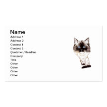 Ragdoll Caricature Business Card