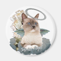 Ragdoll Perfect Angel Kitten magnets