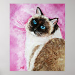 Ragdoll Posters