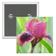 Rain Covered Iris Buttons