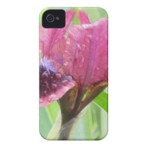Rain Covered Iris iPhone 4 Cases