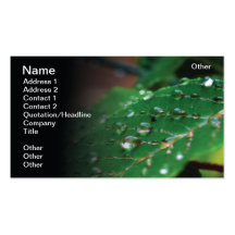 Rain forest business cards