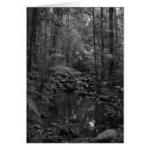 rain forest card