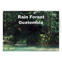 Rain Forest, Guatemala Card