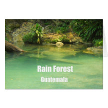 Rain Forest, Guatemala Card