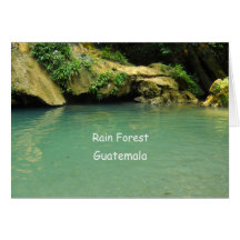 Rain Forest, Guatemala Cards
