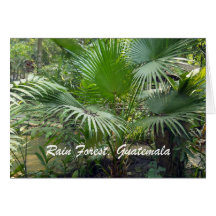 Rain Forest, Guatemala Cards