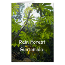 Rain forest, Guatemala Greeting Cards