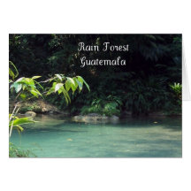 Rain Forest, Guatemala Greeting Cards