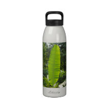 Rain Forest - Guatemala Water Bottles