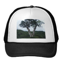 Rain Forest in Costa Rica Hat