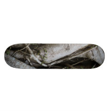 Rain Forest Tree Skate Board Decks