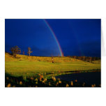 Rainbow Card