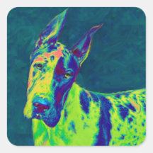 rainbow dane stickers