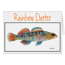 Rainbow  Darter Card