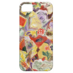 Rainbow Kitchen iPhone 5 Case