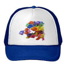 Rainbow of Parrotfish Hat
