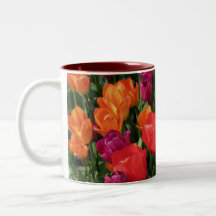 Rainbow Of Tulips Coffee Mug