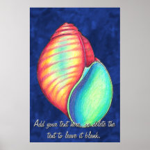 Rainbow Shell Poster