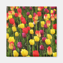Rainbow Tapestry Magnet