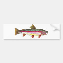 Rainbow Trout Fish Bumper Stickers