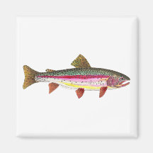 Rainbow Trout Fish Fridge Magnet