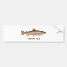 Rainbow Trout (titled) Bumper Stickers