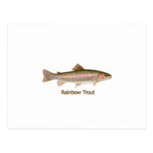 Rainbow Trout (titled) Post Cards