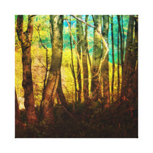 Rainbow Woods Wrapped Canvas Stretched Canvas Print