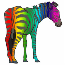 rainbow zebra photo sculptures