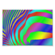 Rainbow Zebra Print Photograph
