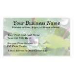 Raindrop on Columbine Leaf Business Card Template