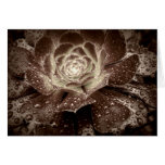 Raindrops and Petals Greeting Card