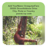 Rainforest Animal Friend stickers
