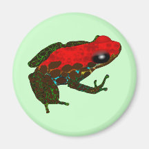 Rainforest Dart Frog Magnets