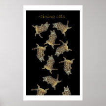Raining cats poster