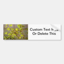 Raintree Branches Bonsai Photo Bumper Sticker